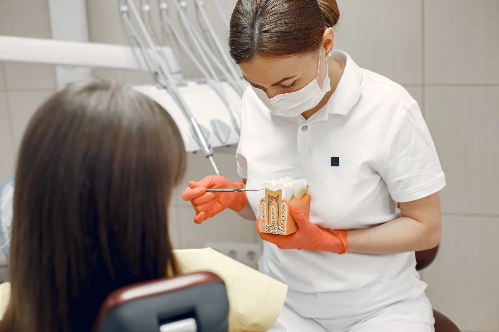 Dentist explaining a tooth model to a patient, referred to in the Sinus Lift Surgery section for Toronto